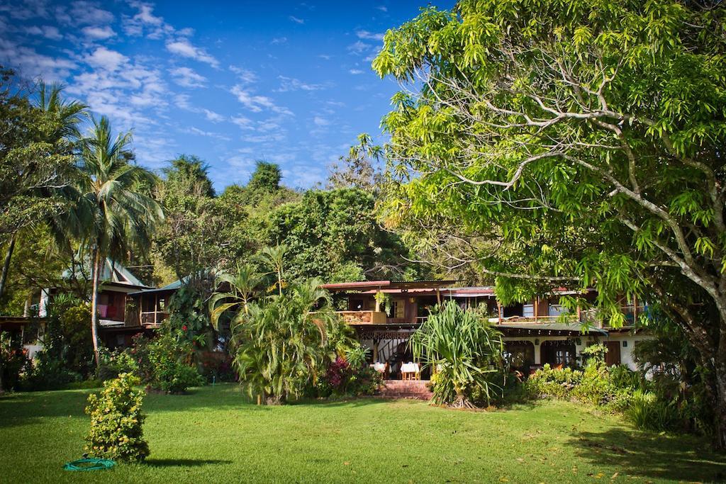 Hotel Amor De Mar Montezuma Eksteriør billede